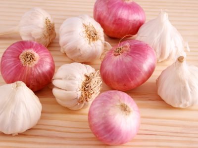 Studio shot onions and garlic buds